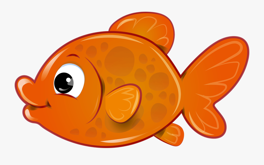 Fish Png Transparent - Transparent Background Fish Clipart, Transparent Clipart