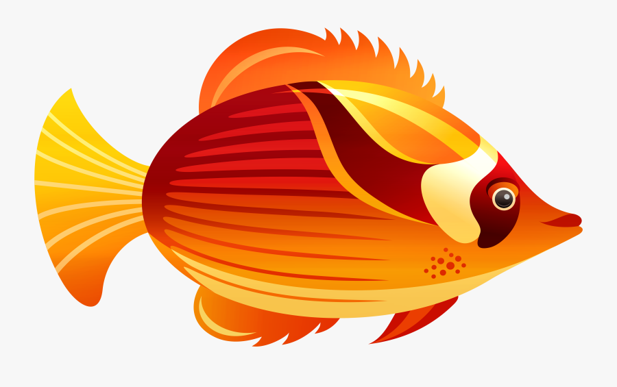 Orange Fish Png Clip Art - Transparent Background Fish Clipart Gif, Transparent Clipart