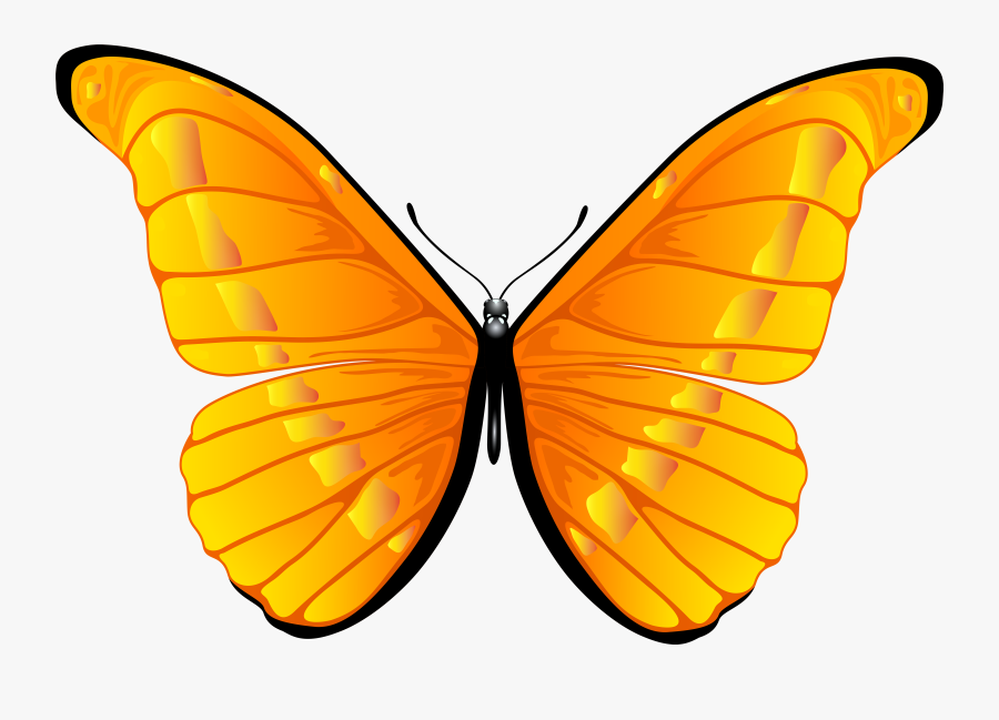 Orange Butterfly Png Clip Art Image - Clipart Butterfly, Transparent Clipart