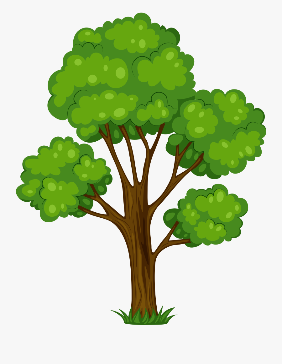 Tree Clipart, Transparent Clipart