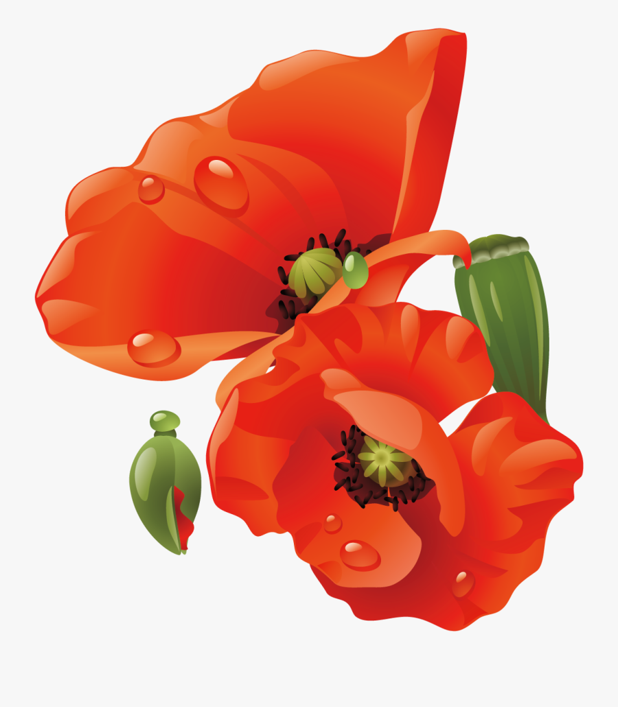 Paper Flowers Bouquet Transprent Png Free - Corn Poppy, Transparent Clipart