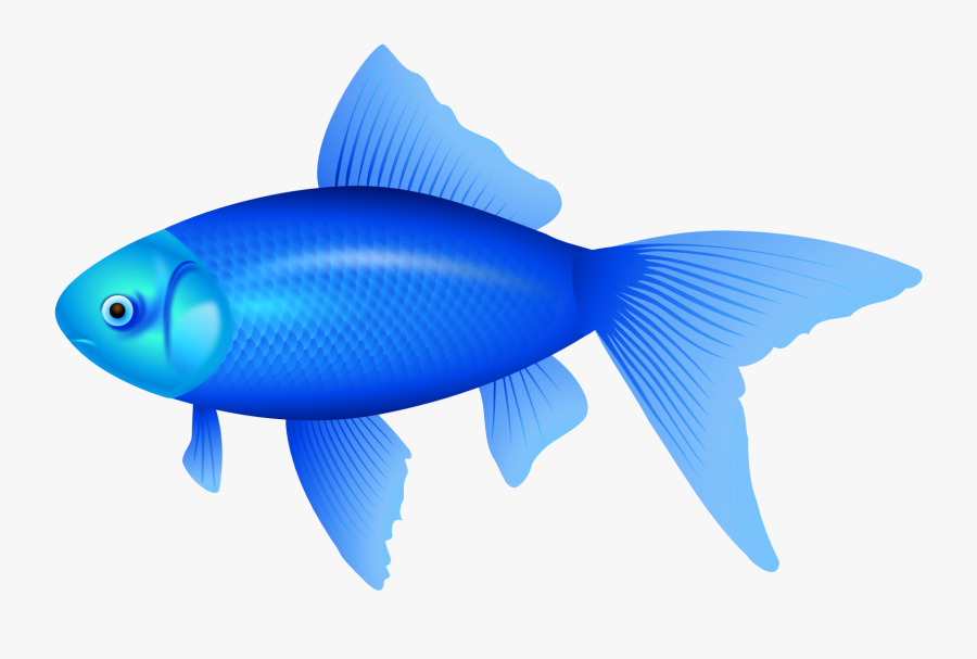 Blue Fish Png Clipart Image - Blue Fish Clipart, Transparent Clipart