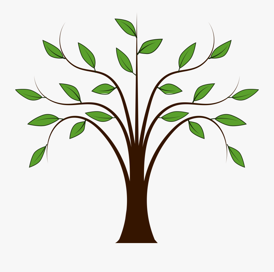 Tree Clip Art - Tree Drawing With Leaves, Transparent Clipart
