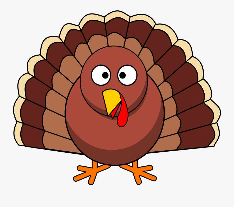 Turkey, Thanksgiving, Poultry, Holiday, Bird, Animal - Turkey Clipart, Transparent Clipart