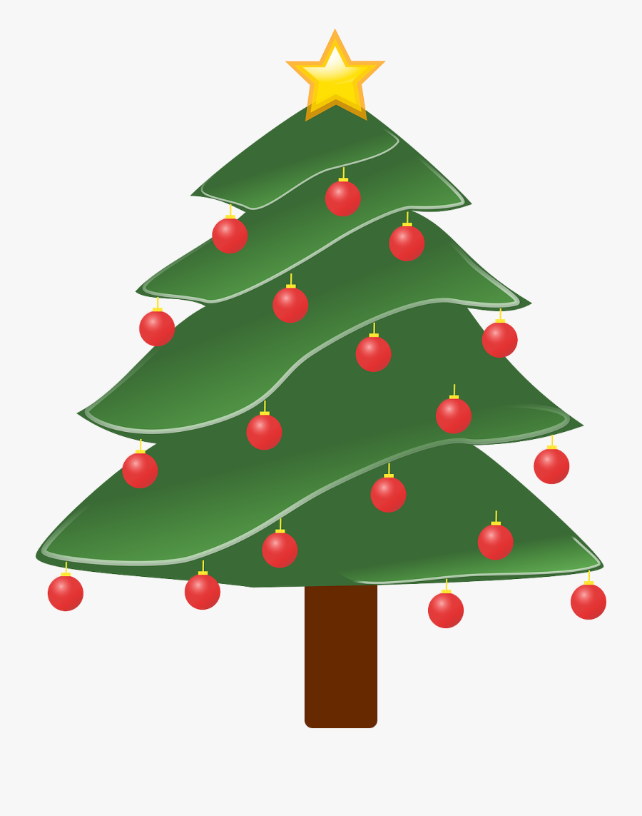 Christmas Trees Where Did They Come, Transparent Clipart