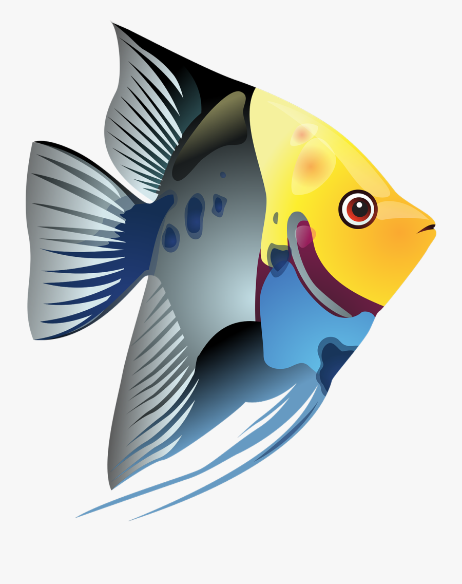5,443 Free Fish Clip Art Images And Graphics - Clipart Tropical Fish, Transparent Clipart