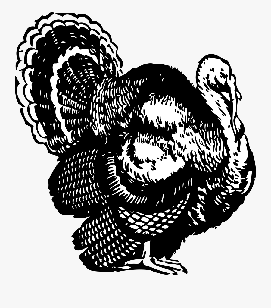 Thanksgiving Turkey Clipart Png - Turkey Clipart Black And White, Transparent Clipart