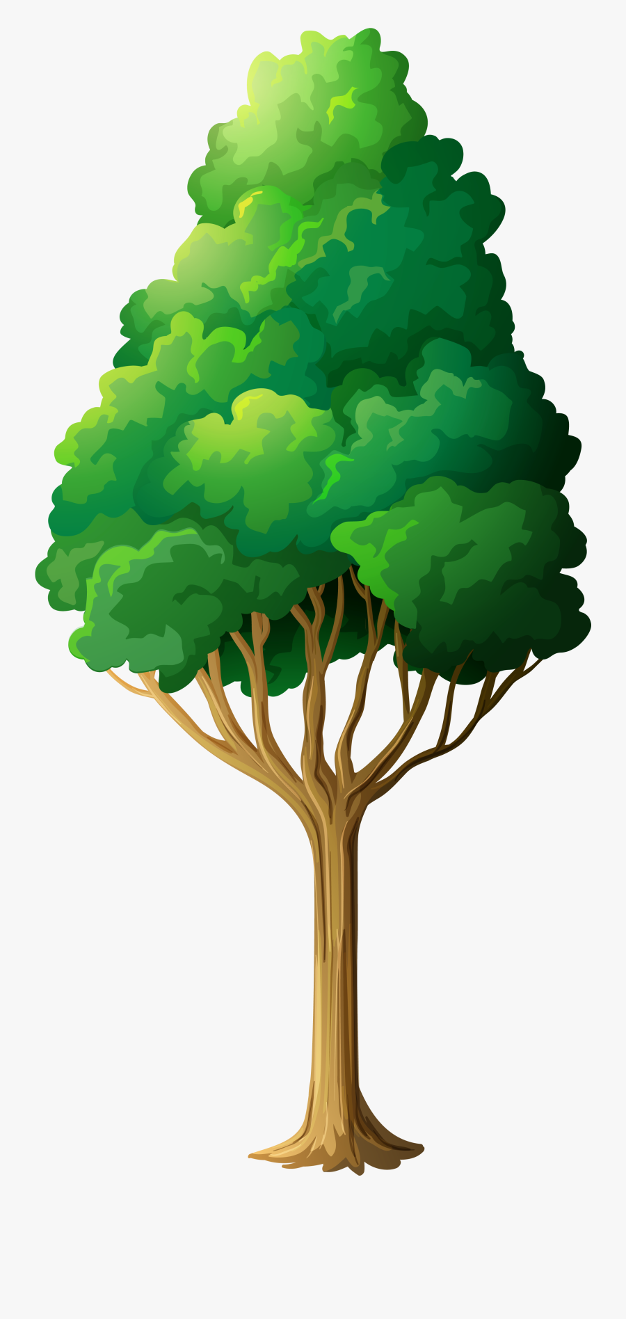 Trees Green Tree Clipart - Frog Under The Tree, Transparent Clipart
