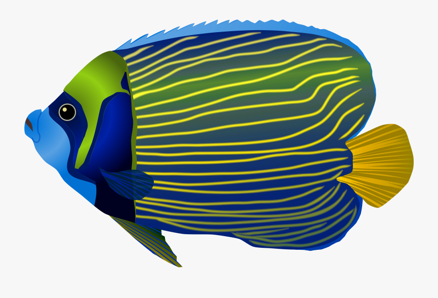 Fish Clipart Png - Ocean Fish Clipart, Transparent Clipart