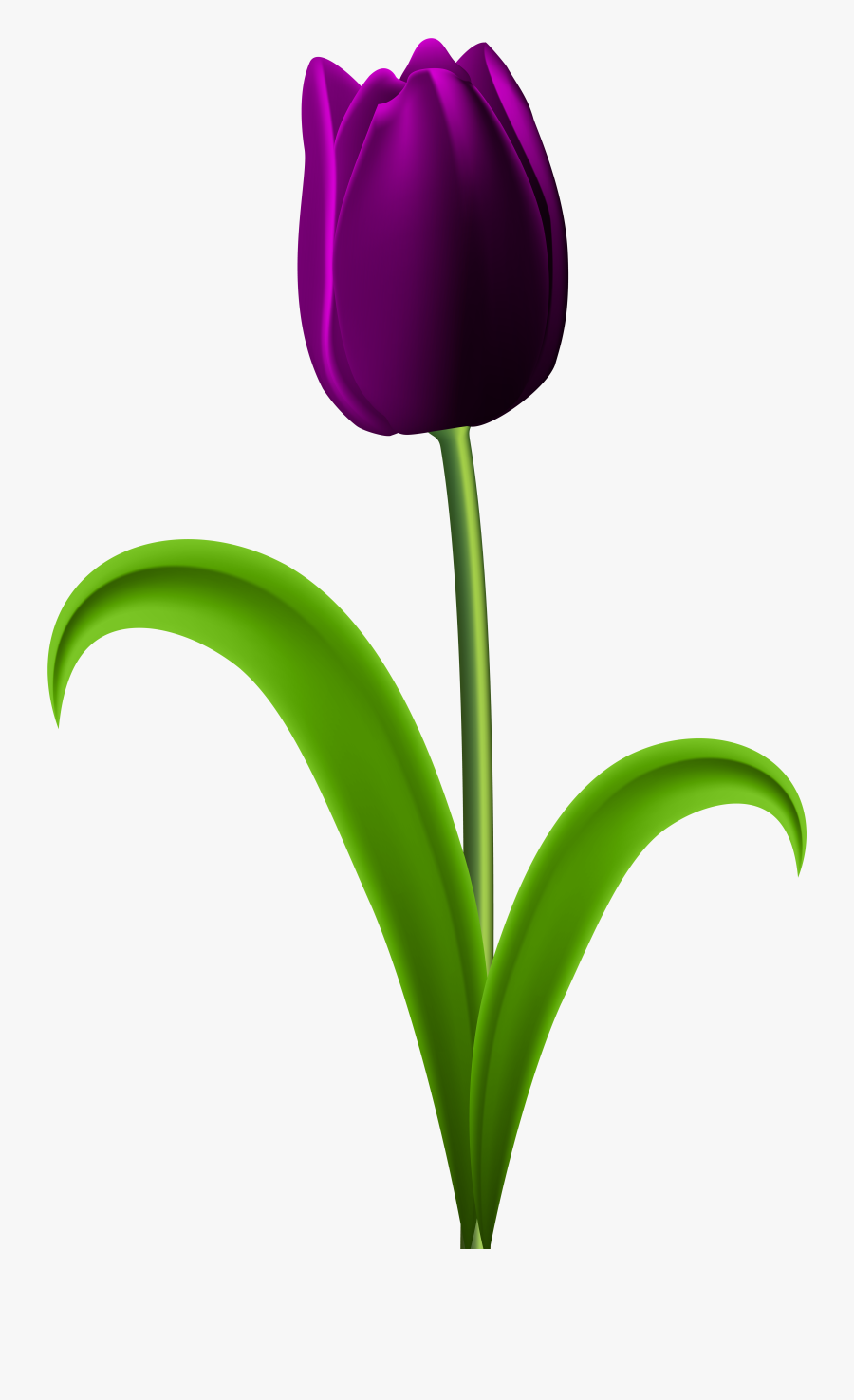 Flower Clipart Tulip - Purple Tulips Flowers Clipart, Transparent Clipart