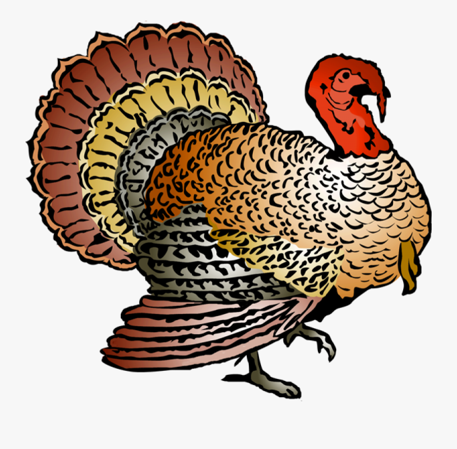 Free Turkey Clipart Thanksgiving Dinner - Turkey Clipart, Transparent Clipart