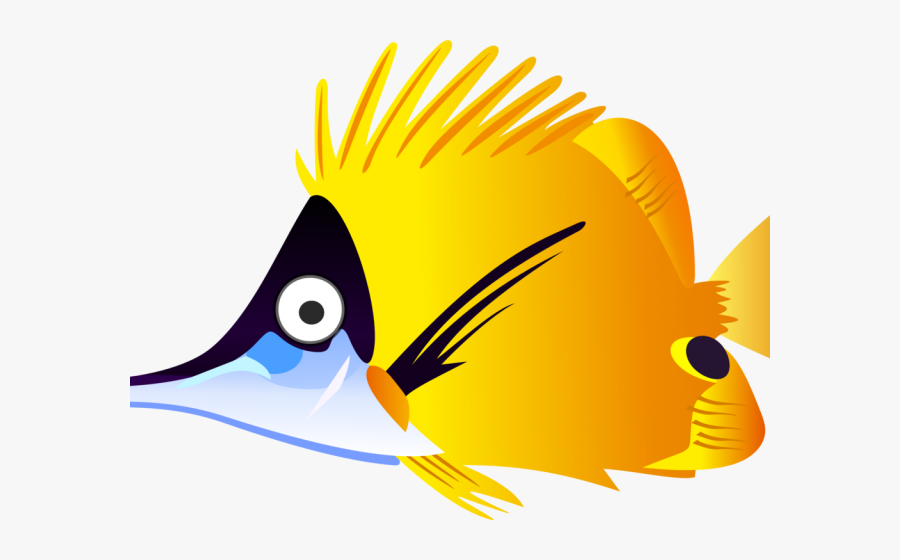 Fish Clipart, Transparent Clipart