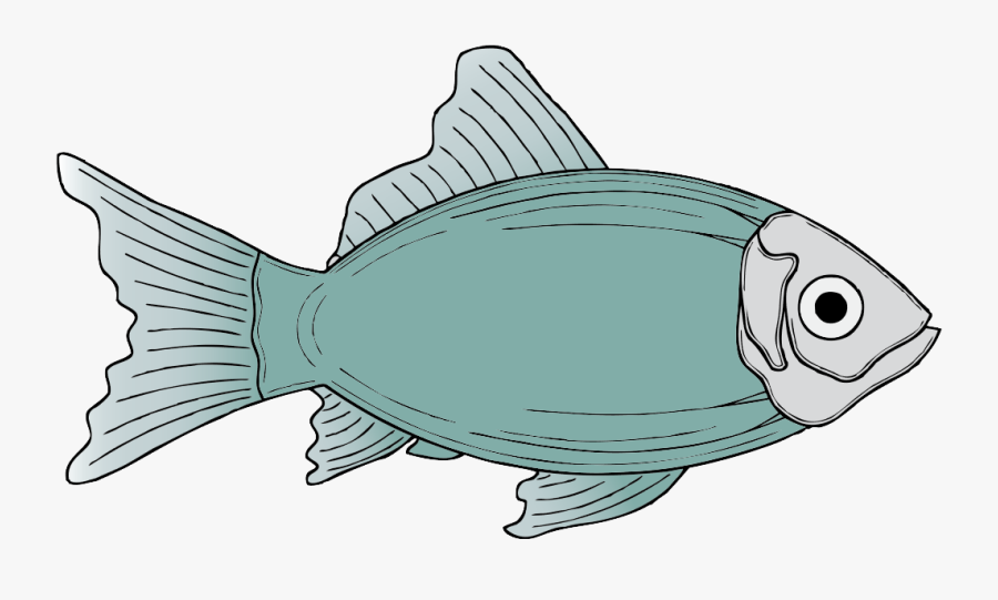 Fishing Clipart Illustration - Fish Clipart, Transparent Clipart