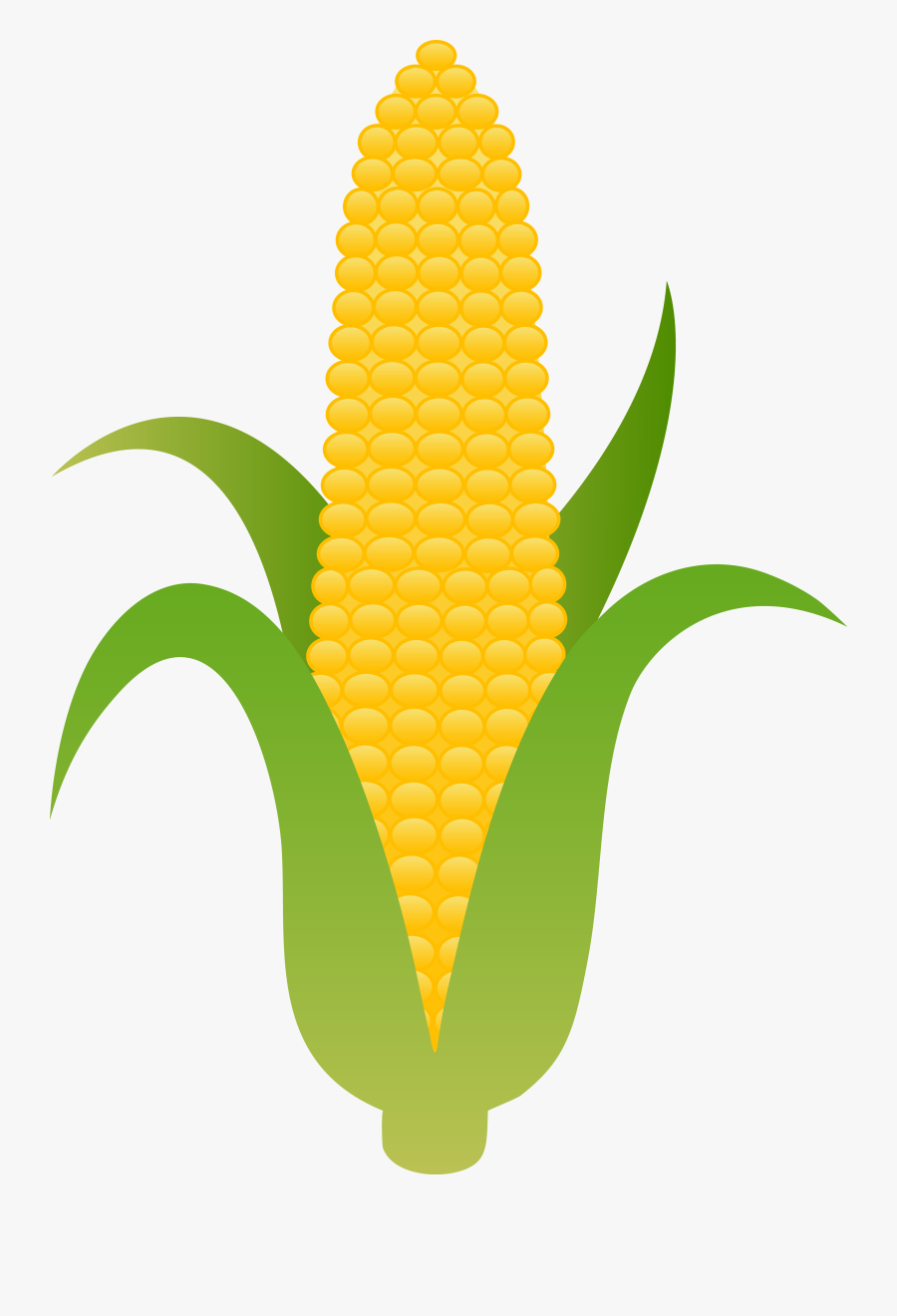 Clipart Corn On The Cob, Transparent Clipart