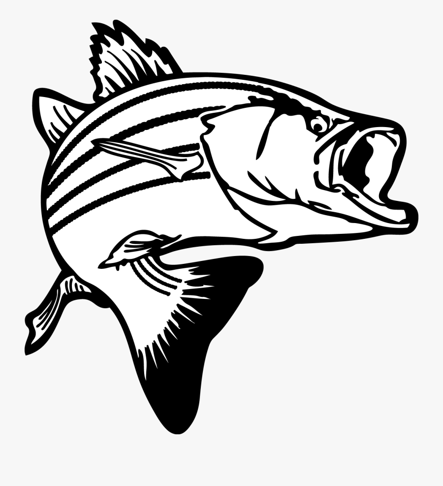 Bass Fish Clipart, Transparent Clipart