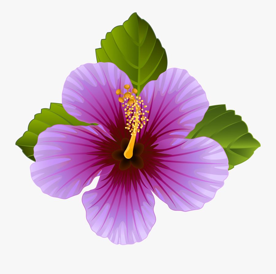 Purple Flower Clipart - Purple Hawaiian Flowers Clip Art, Transparent Clipart