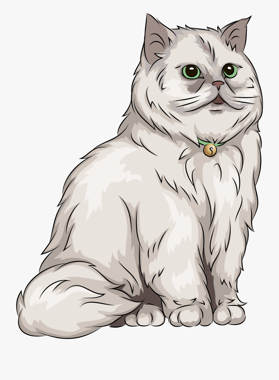 Persian Cat Vector, Transparent Clipart