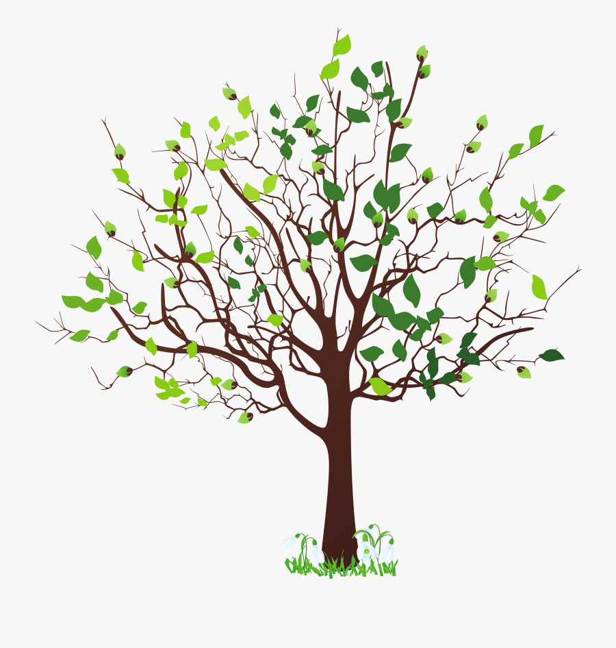 Tree Free Clipart Tree Free, Transparent Clipart