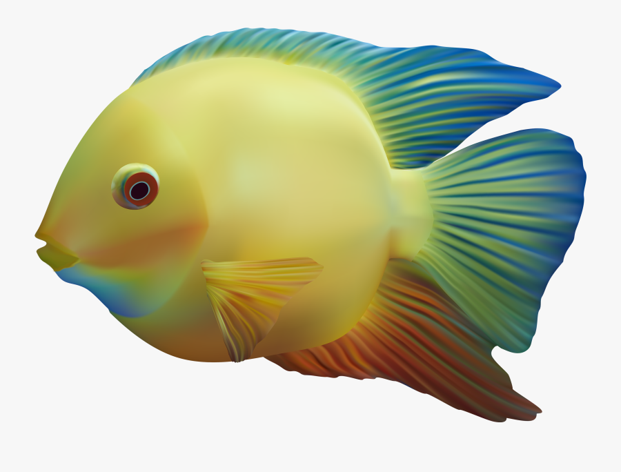 Tropical Fish Clipart Gills Clipart - Fish Png, Transparent Clipart