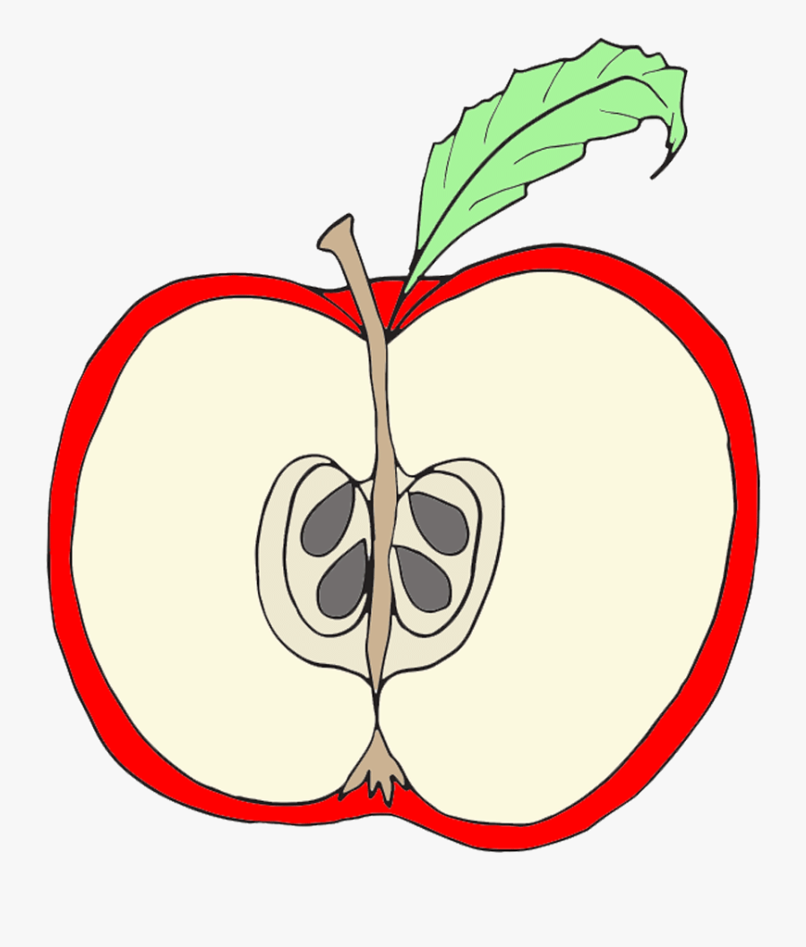 Parts Of An Apple Clipart , Png Download - Parts Of An Apple Clipart, Transparent Clipart