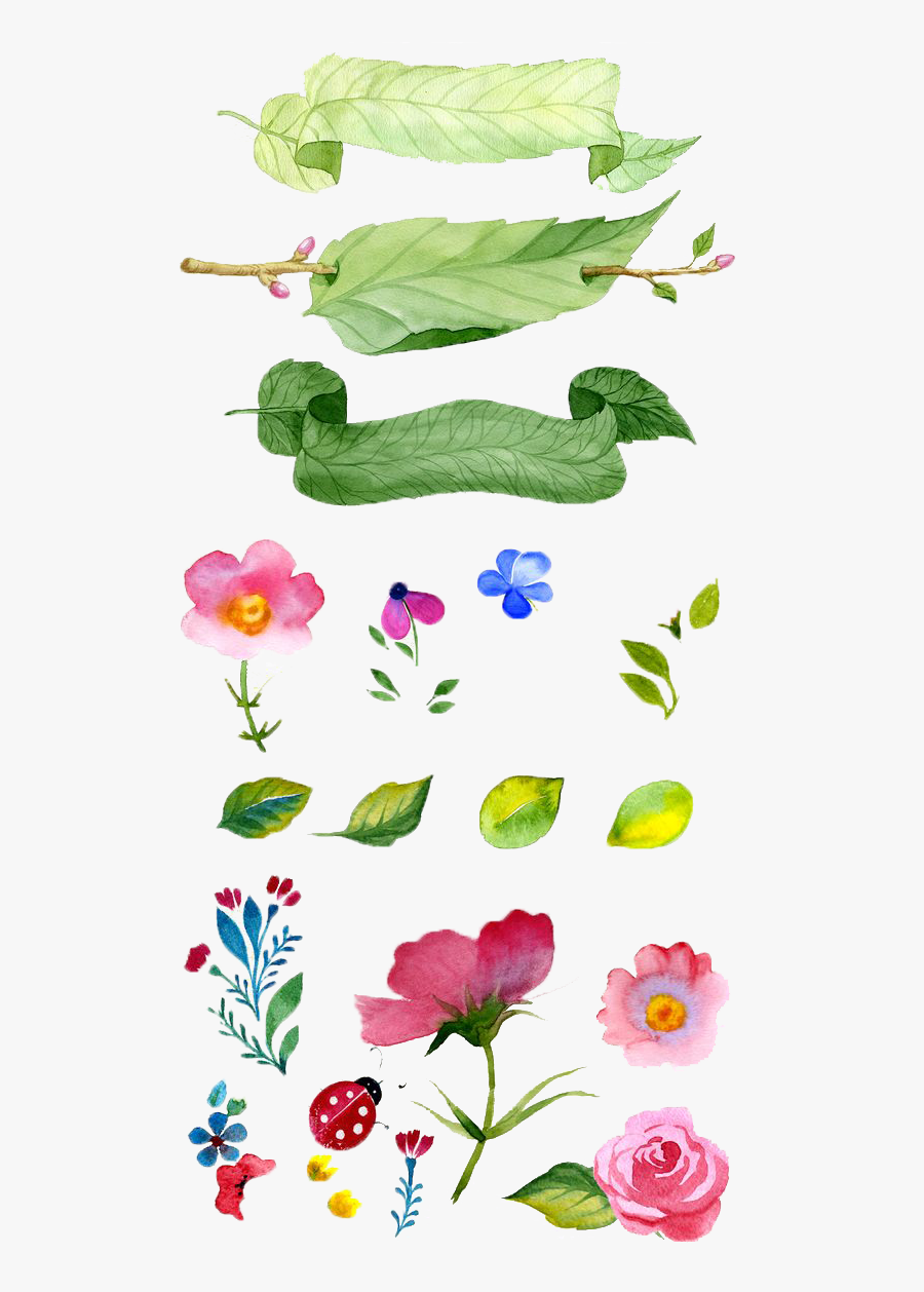 Flower Illustration Watercolor Flowers Painting Hand-painted - Watercolor Painting, Transparent Clipart