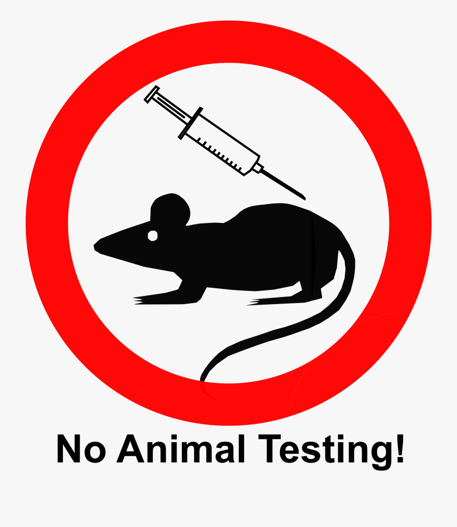 No Animal Testing Clip Arts - Animal Testing Clipart, Transparent Clipart