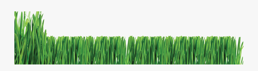 Lawn Care Logos Clip Art Cliparts - Hd Lawn Service Clip Art , Free