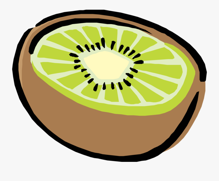 Half A Kiwi, Transparent Clipart