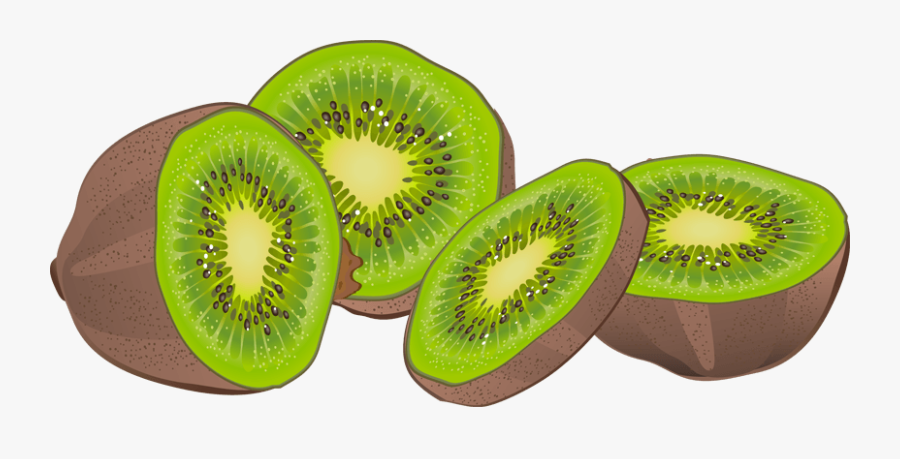 Clipart Kiwi Fruit - Transparent Background Kiwi Fruit Clipart, Transparent Clipart