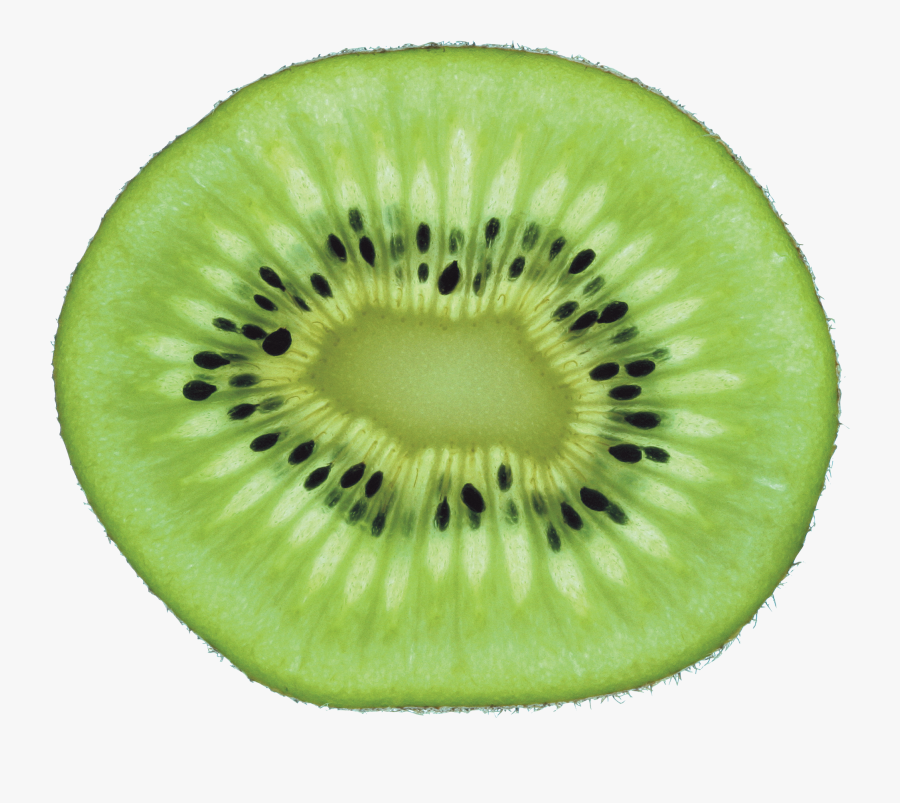 Transparent Cucumber Slice Png - Kiwi .png, Transparent Clipart