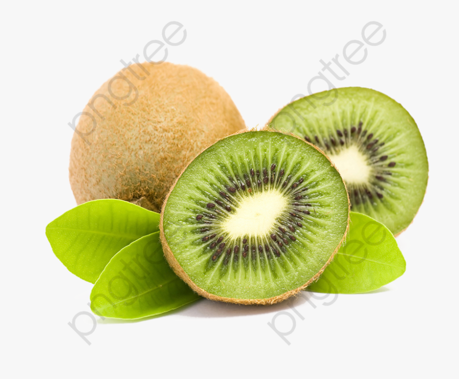 Kiwi Clipart High Resolution - Kiwi Png, Transparent Clipart
