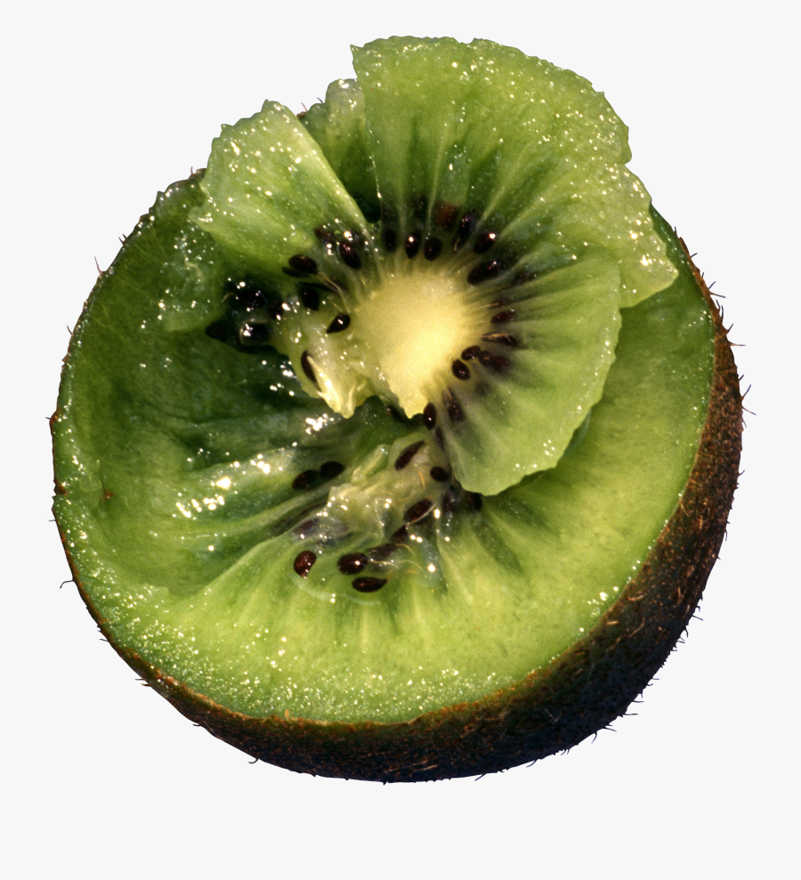 Kiwifruit Tree In Png, Transparent Clipart
