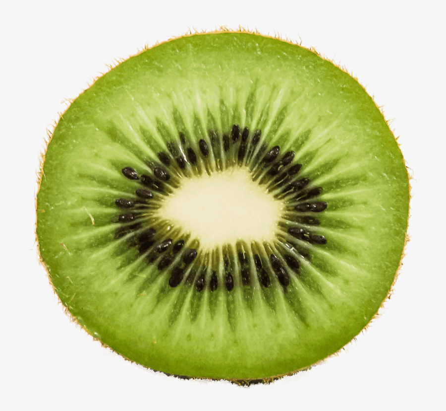 Clip Art Fruit Png Free Images - Kiwi Fruit Slice Png, Transparent Clipart