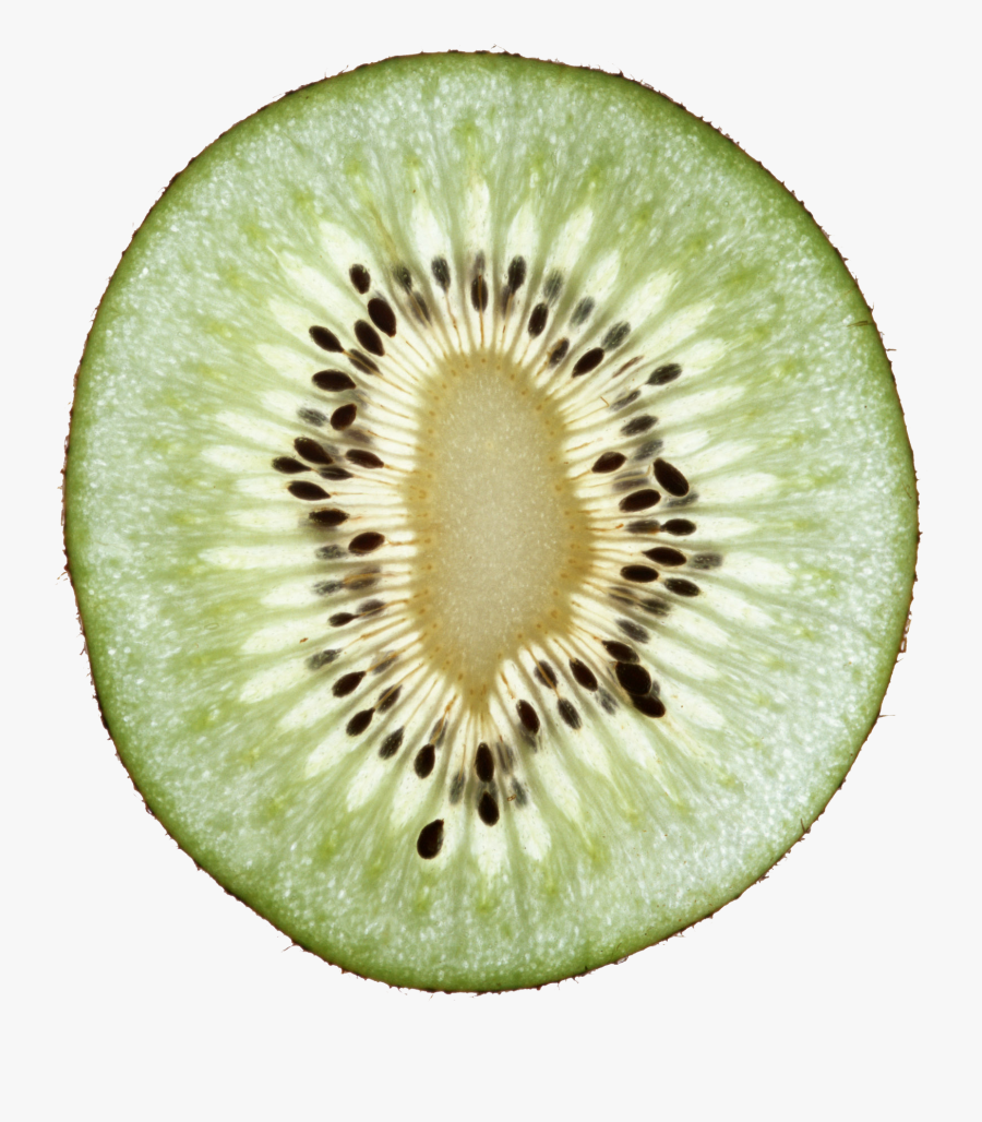 Kiwi Head Png, Transparent Clipart