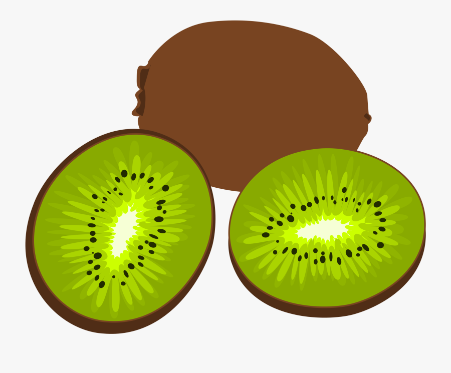 Kiwi Fruit Png - Kiwi Svg, Transparent Clipart