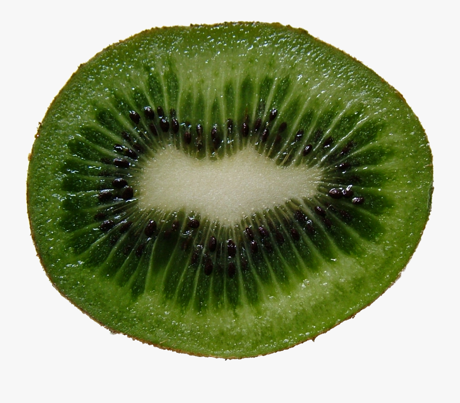 Kiwi Fruit Cross Section, Transparent Clipart