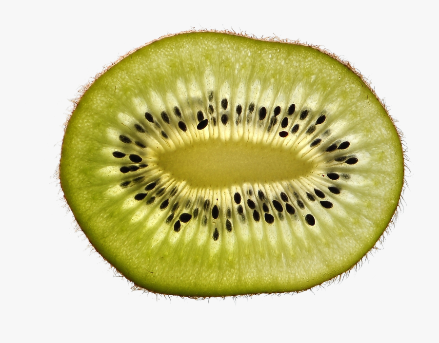 Close Up Pictures To Guess - Kiwifruit, Transparent Clipart