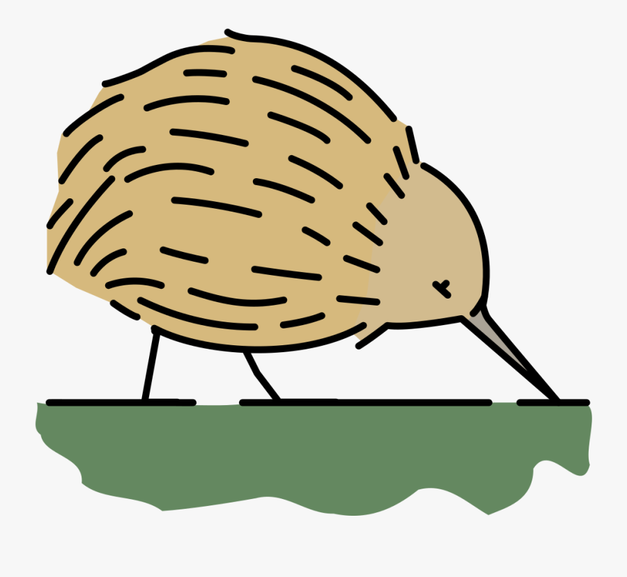 Kiwi,bird,coloring Book - Coloring Book, Transparent Clipart