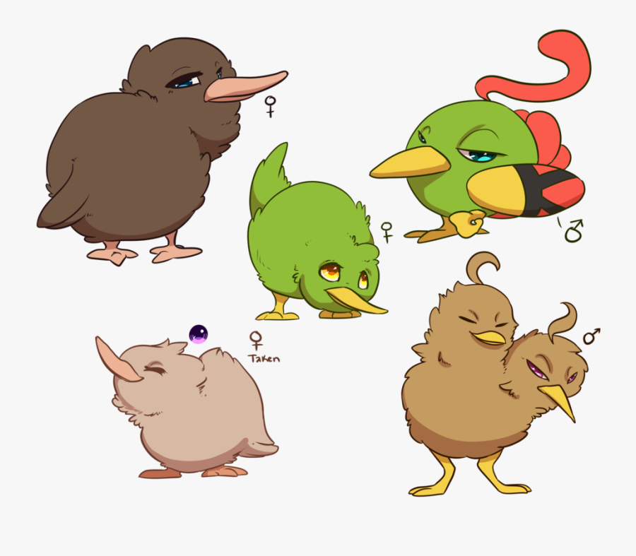 Kiwi Cute Clipart - Kiwi Bird Drawing, Transparent Clipart