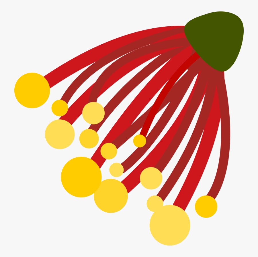 Download Pohutukawa Flower Kiwi - Pohutukawa Clipart, Transparent Clipart