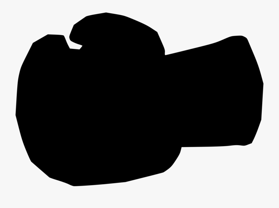 Photography, Transparent Clipart