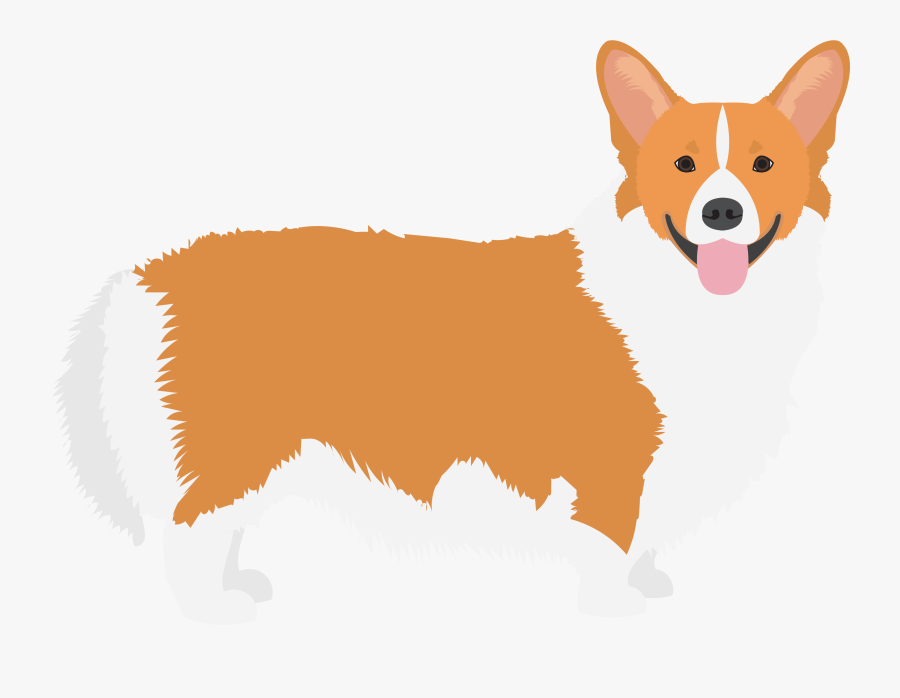 Icelandic Sheepdog, Transparent Clipart
