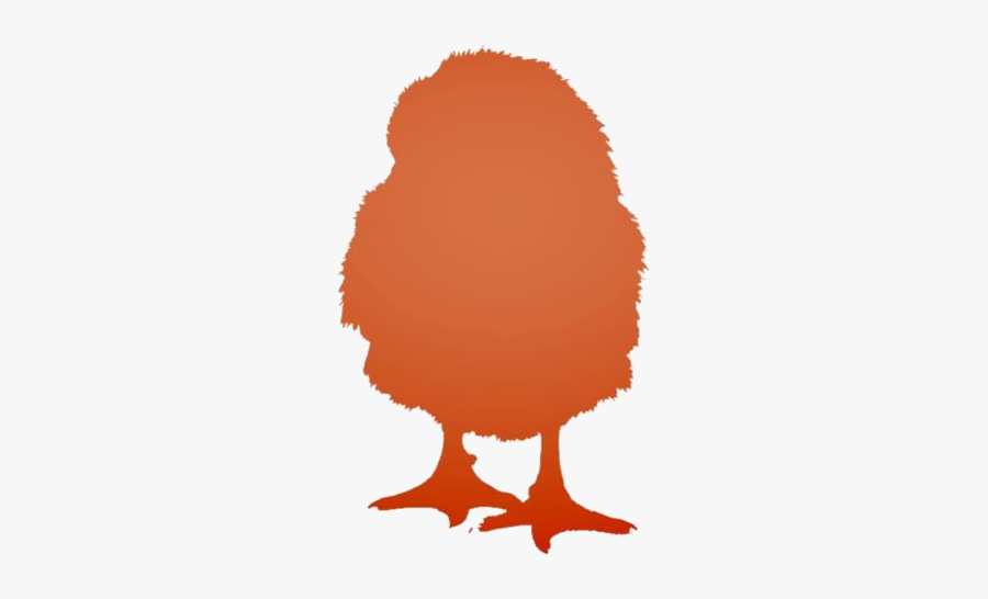 Cute Baby Birds Png Transparent Images - Illustration, Transparent Clipart