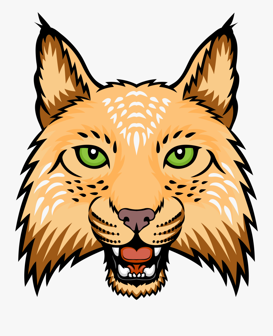 Transparent Lynx Clipart - Vector Graphics, Transparent Clipart