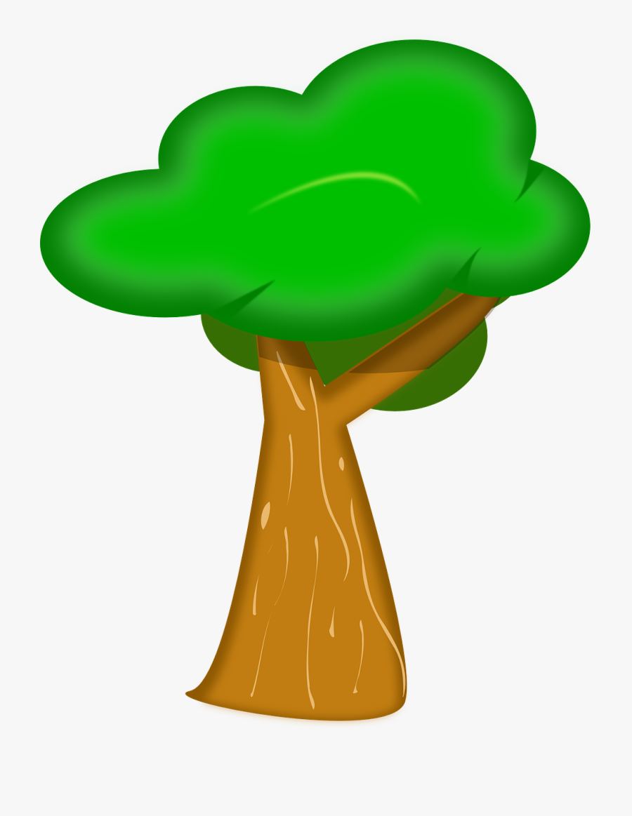 Cartoon Tree Bark Clipart , Free Transparent Clipart ClipartKey