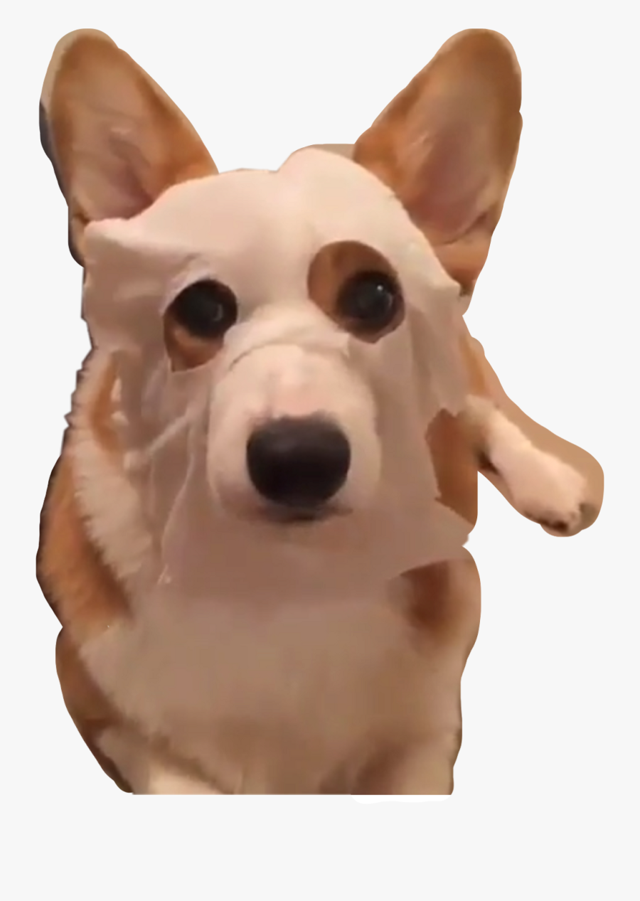 Clip Art Corgi Head - Companion Dog, Transparent Clipart