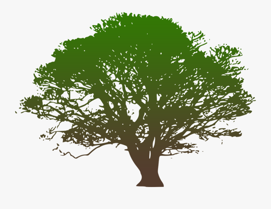 Clip Art Hickory Tree Service Westchester County Ny - Green Tree Silhouette Png, Transparent Clipart