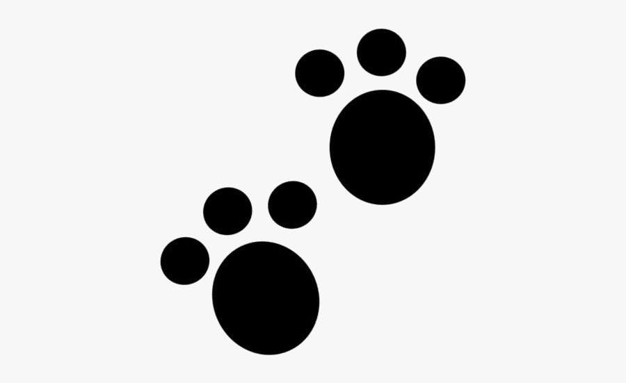 Animal Footprint Png Transparent Images - Baby Animals Footprint Cartoon, Transparent Clipart