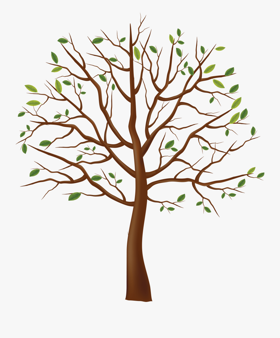 Transparent Background Tree Png Vector, Transparent Clipart