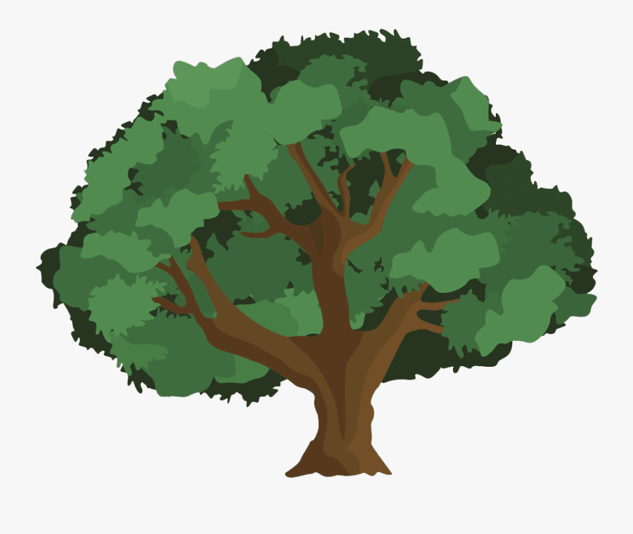 Transparent Free Clipart Oak Leaf - Oak Tree Clipart Png, Transparent Clipart